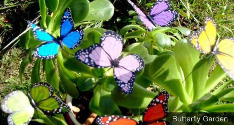 Map Location, godrej-nature-plus 3 Bedroom 1996 Sq.Ft. Apartment In Sohna Sector 33 Gurgaon 7095007