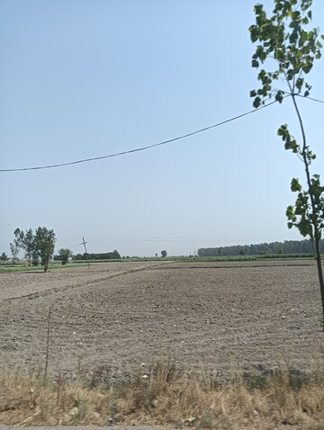 Plot Area in  Plot at Bawana – for Sale