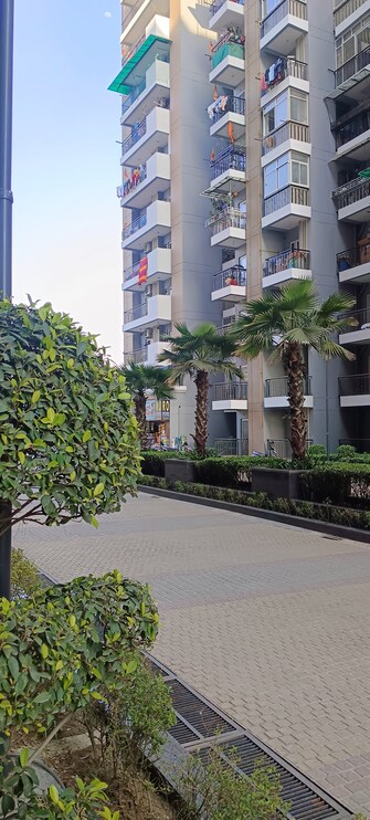 2 BHK Apartment For Resale in Saviour Park Mohan Nagar Ghaziabad  7095271