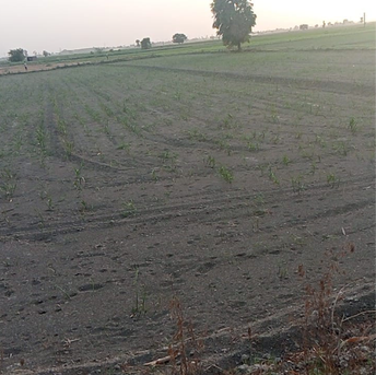 Commercial Land 6 Acre For Resale in Sector 5 Karnal  7095305
