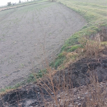  Land For Sale in Assandh