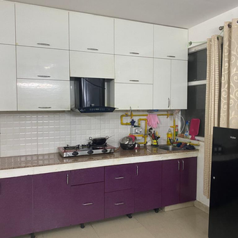 2 BHK Apartment For Rent in Tulip Lemon Sector 70 Gurgaon  7095668
