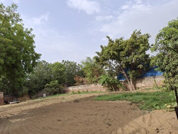 Plot Area in  Plot at Sector 109 – for Sale