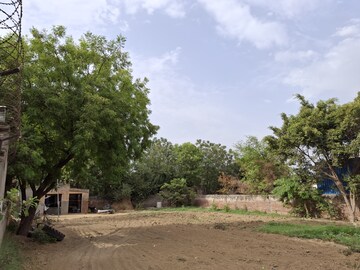 Plot Area in  Plot at Sector 109 – for Sale