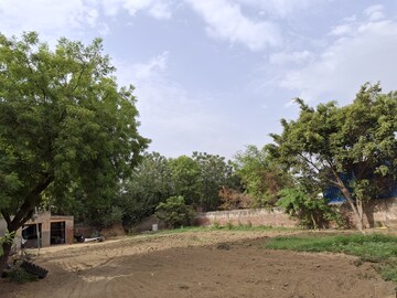 Plot Area in  Plot at Sector 109 – for Sale