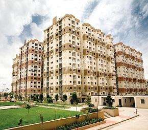 3 BHK Apartment For Rent in My Home Jewel Madinaguda Hyderabad  7097046