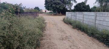 Plot Area in  Plot at Tiwaripur – for Sale