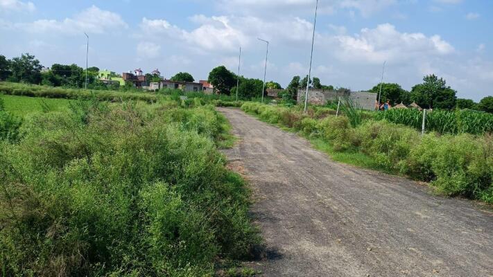 Plot For Resale in Yeida, Greater Noida Greater Noida  7097742