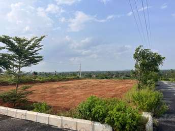 Plot For Resale in Sangareddy Hyderabad  7098092