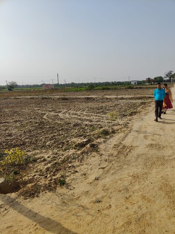 Plot Area in  Plot at Najafgarh – for Sale