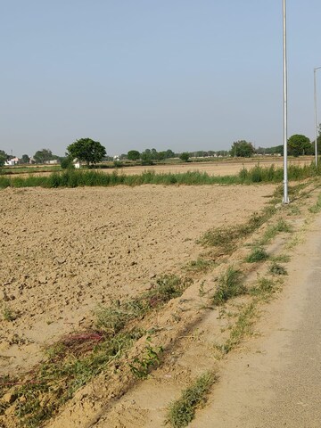 Plot Area in  Plot at Najafgarh – for Sale