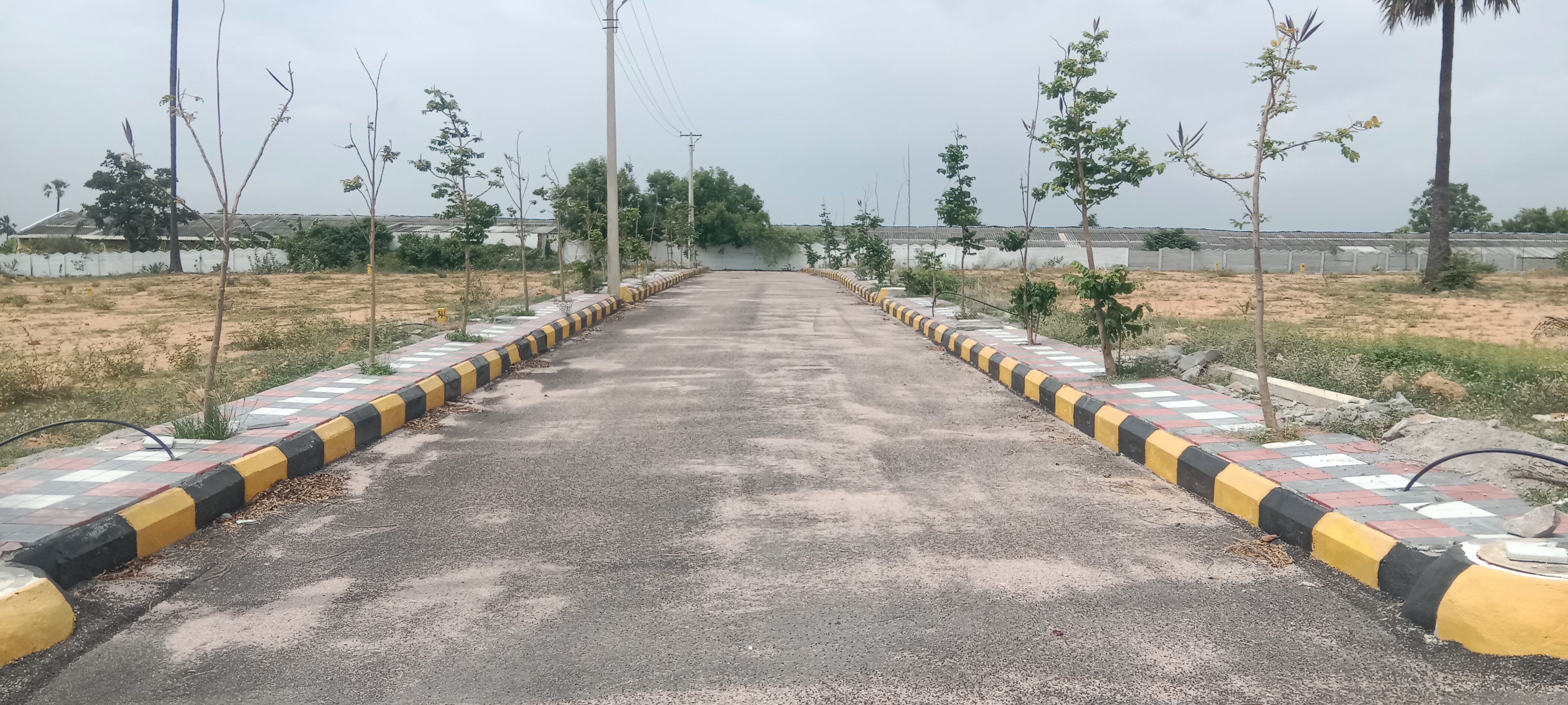 Plot For Resale in Rameshwar Banda Hyderabad  7098422