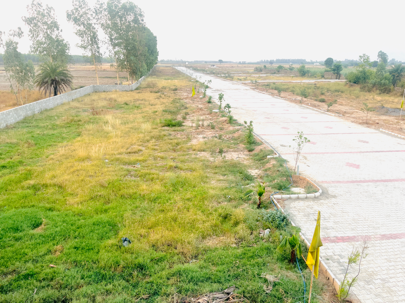 Plot For Resale in Lalru Mohali  7098646