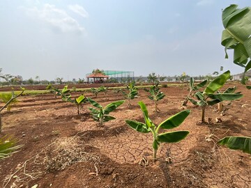 Plot Area in  Plot at Khairatabad – for Sale