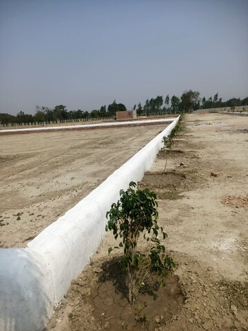 Plot Area in  Plot at Faizabad Road – for Sale