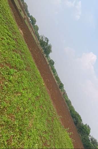 Plot For Resale in Narayankhed Hyderabad  7099459