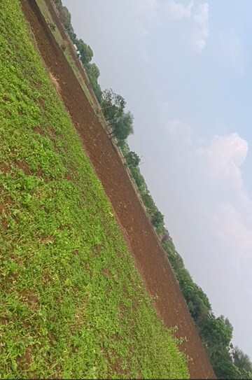  Plot For Sale in Narayankhed