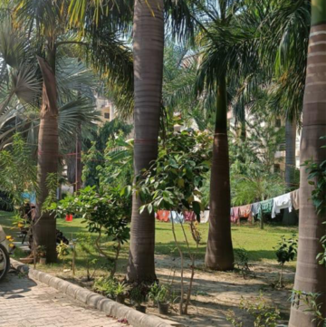 3 BHK Apartment – Garden View at Siwaya Jamalullapur - for Sale