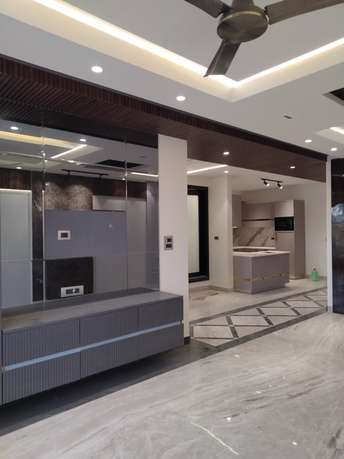 3 BHK Builder Floor For Rent in C Block Pocket IV Vikaspuri Vikas Puri Delhi  7100690