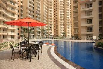 2 BHK Apartment For Resale in Supertech Eco Village II Noida Ext Sector 16b Greater Noida  7103685