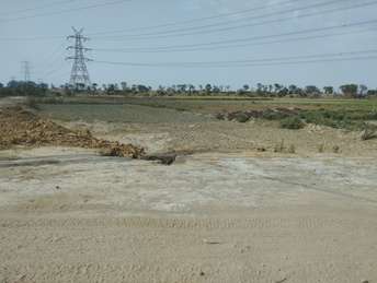 Commercial Industrial Plot 1000 Sq.Ft. For Resale in Safiyabad Sonipat  7104156