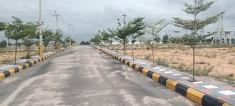 Plot For Resale in Shamshabad Hyderabad  7104272