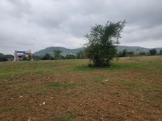 Commercial Industrial Plot 24 Acre For Resale in Avalahalli Bangalore  7104384