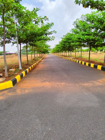  Plot – Exterior View View at Kongar Khurd - for Sale