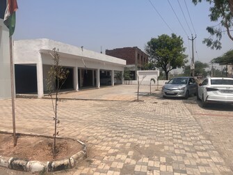 Plot For Resale in Lalru Mohali  7105082