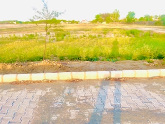 Plot For Resale in Lalru Mohali  7105487