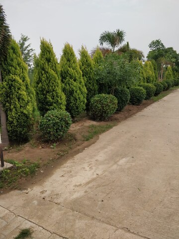  Plot – Garden View at Patiala Road - for Sale