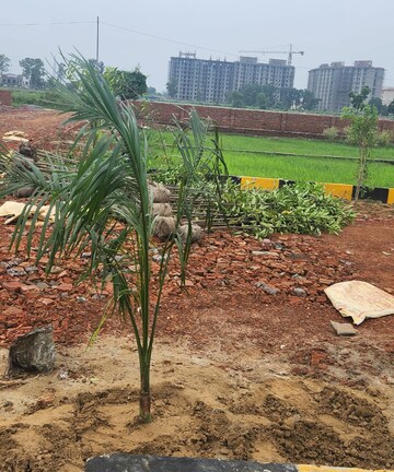 Plot Area in  Plot at Shalimar Mannat, Faizabad Road – for Sale