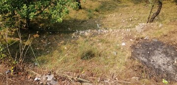 Plot Area in  Plot at Dhanachuli – for Sale