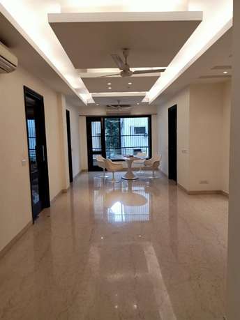 3 BHK Builder Floor For Rent in Safdarjung Enclave Safdarjang Enclave Delhi  7111357