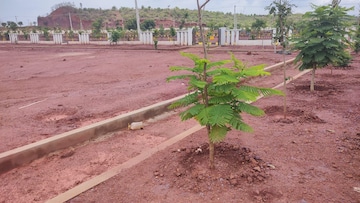 Plot Area in  Plot at Kamkole – for Sale