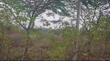  Plot For Sale in Kompally