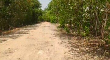  Plot For Sale in Narsingi