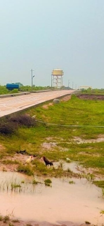 Plot Area in  Plot at Muthangi – for Sale