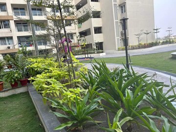 3 BHK Apartment – Exterior View View at Shankar Nagar - for Sale