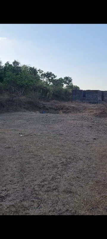 Commercial Land 13 Acre For Resale in Shrivardhan Raigad  7114598