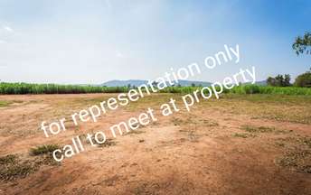 Commercial Land 31000 Sq.Ft. For Resale In Anand Anand 7115022