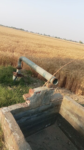  Land For Sale in Sultanpur