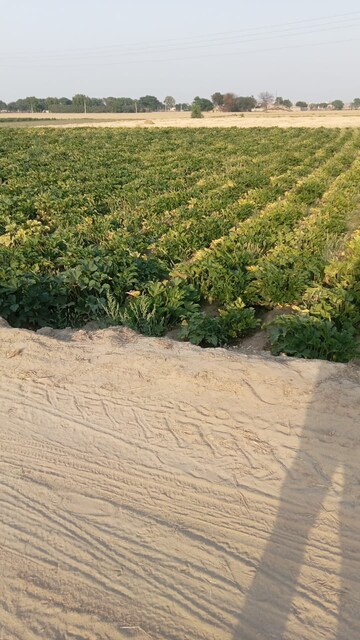 Plot Area in  Land at Sultanpur – for Sale