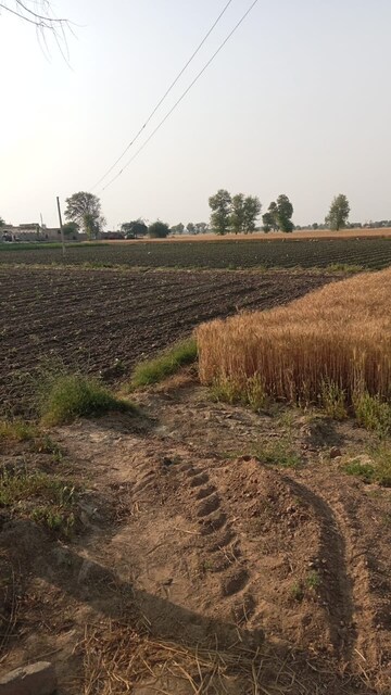 Plot Area in  Land at Sultanpur – for Sale
