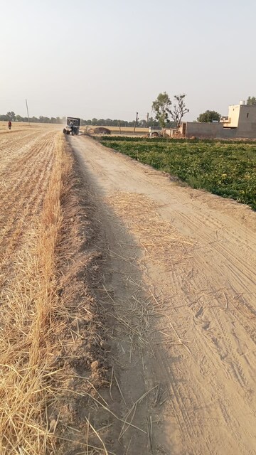 Plot Area in  Land at Sultanpur – for Sale
