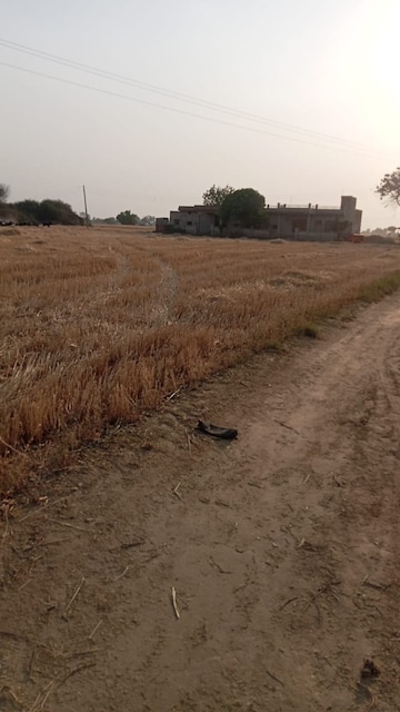 Plot Area in  Land at Sultanpur – for Sale