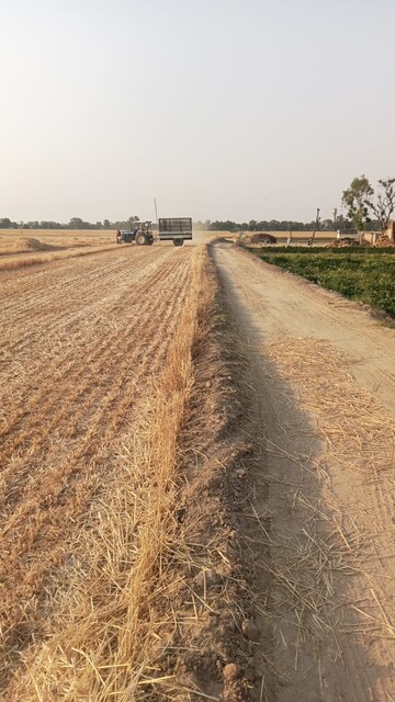 Plot Area in  Land at Sultanpur – for Sale