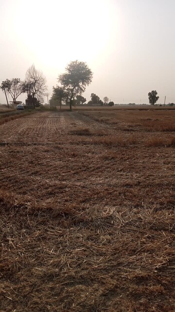  Land – Exterior View View at Sultanpur - for Sale