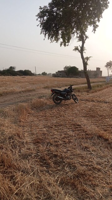 Plot Area in  Land at Sultanpur – for Sale