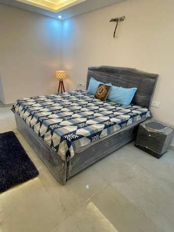 2 BHK Builder Floor For Rent in Tarika CGHS Sector 43 Gurgaon  7115163